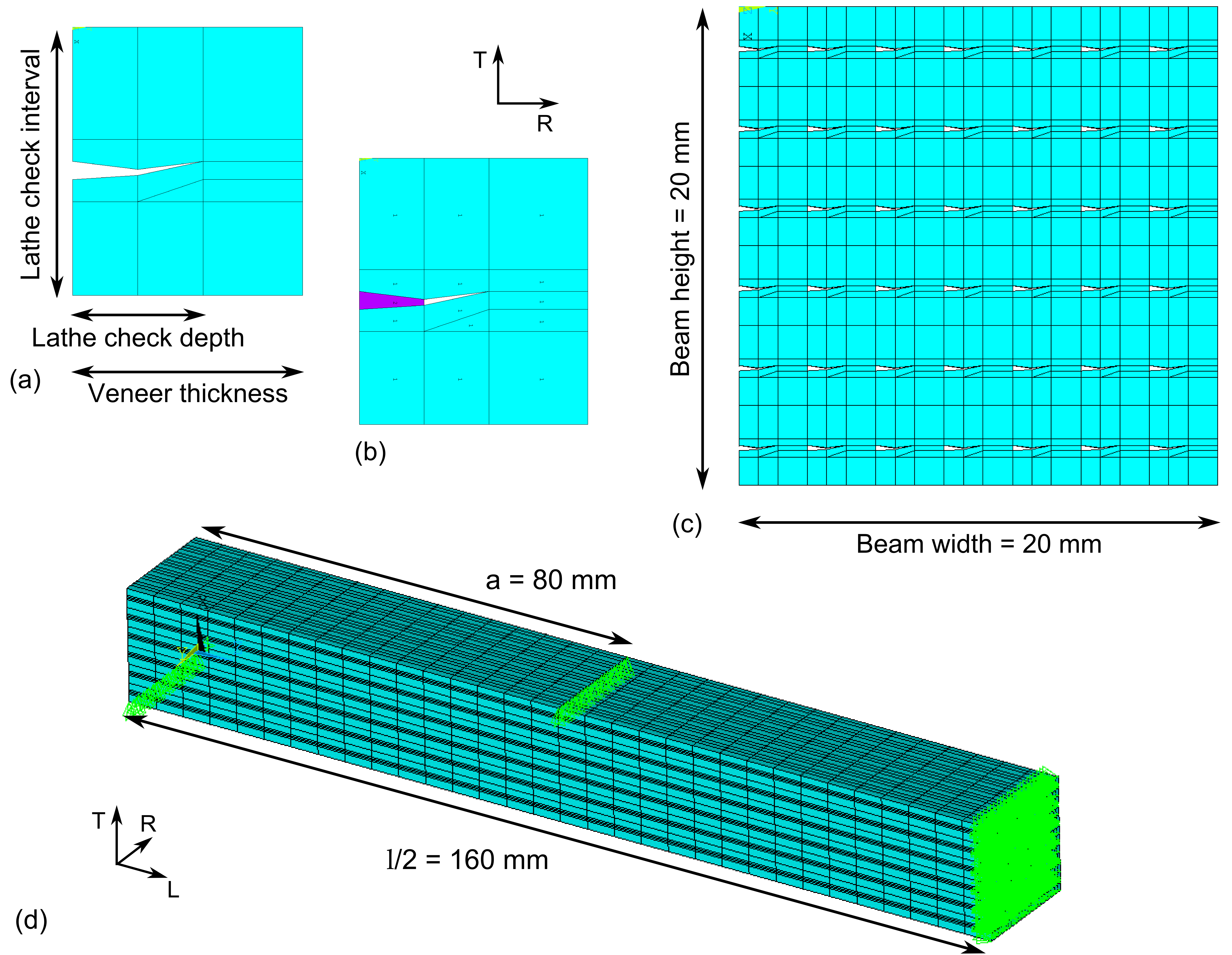 Finite element model of checked LVL